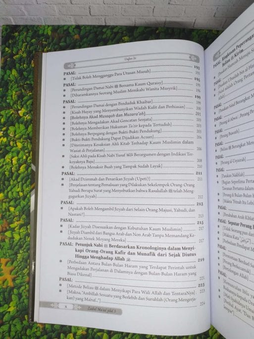 Zadul Ma'ad jilid 3 - Gambar 6