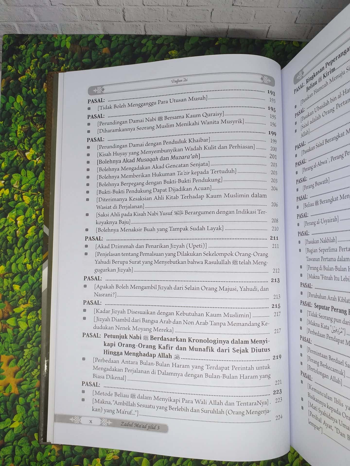 Zadul Ma'ad jilid 3 - Gambar 6