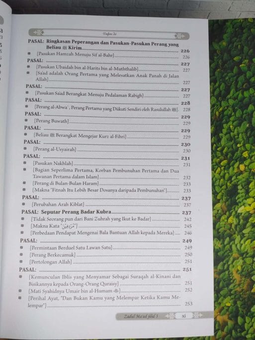 Zadul Ma'ad jilid 3 - Gambar 7
