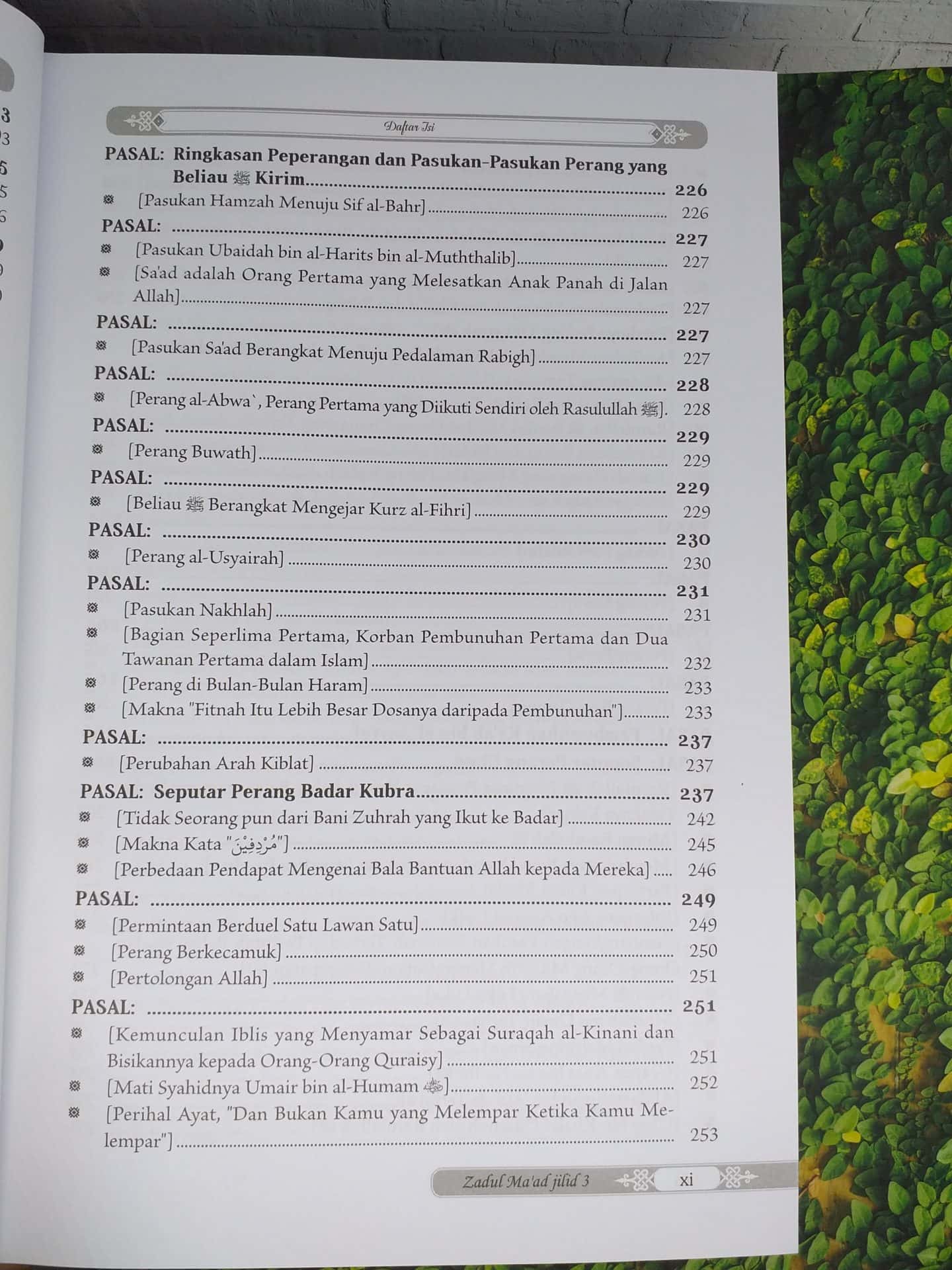 Zadul Ma'ad jilid 3 - Gambar 7