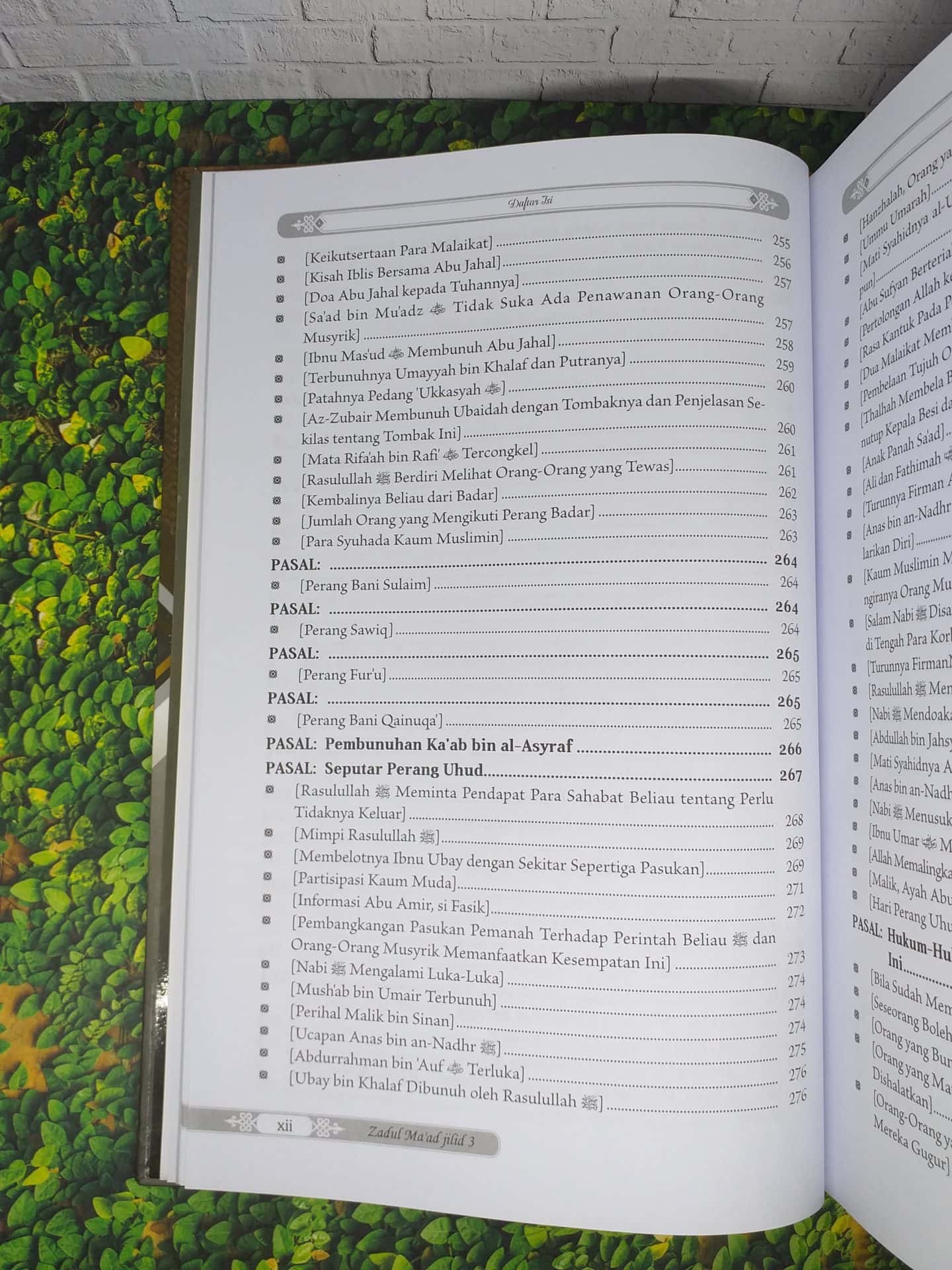 Zadul Ma'ad jilid 3 - Gambar 8