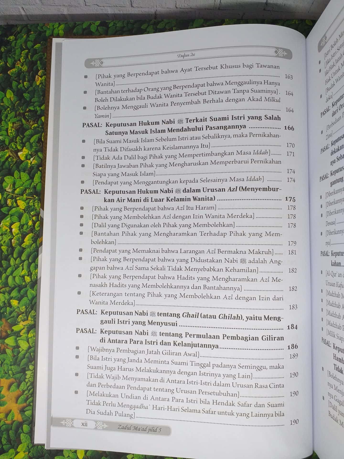 Zadul Ma’ad Jilid 5 - Gambar 9