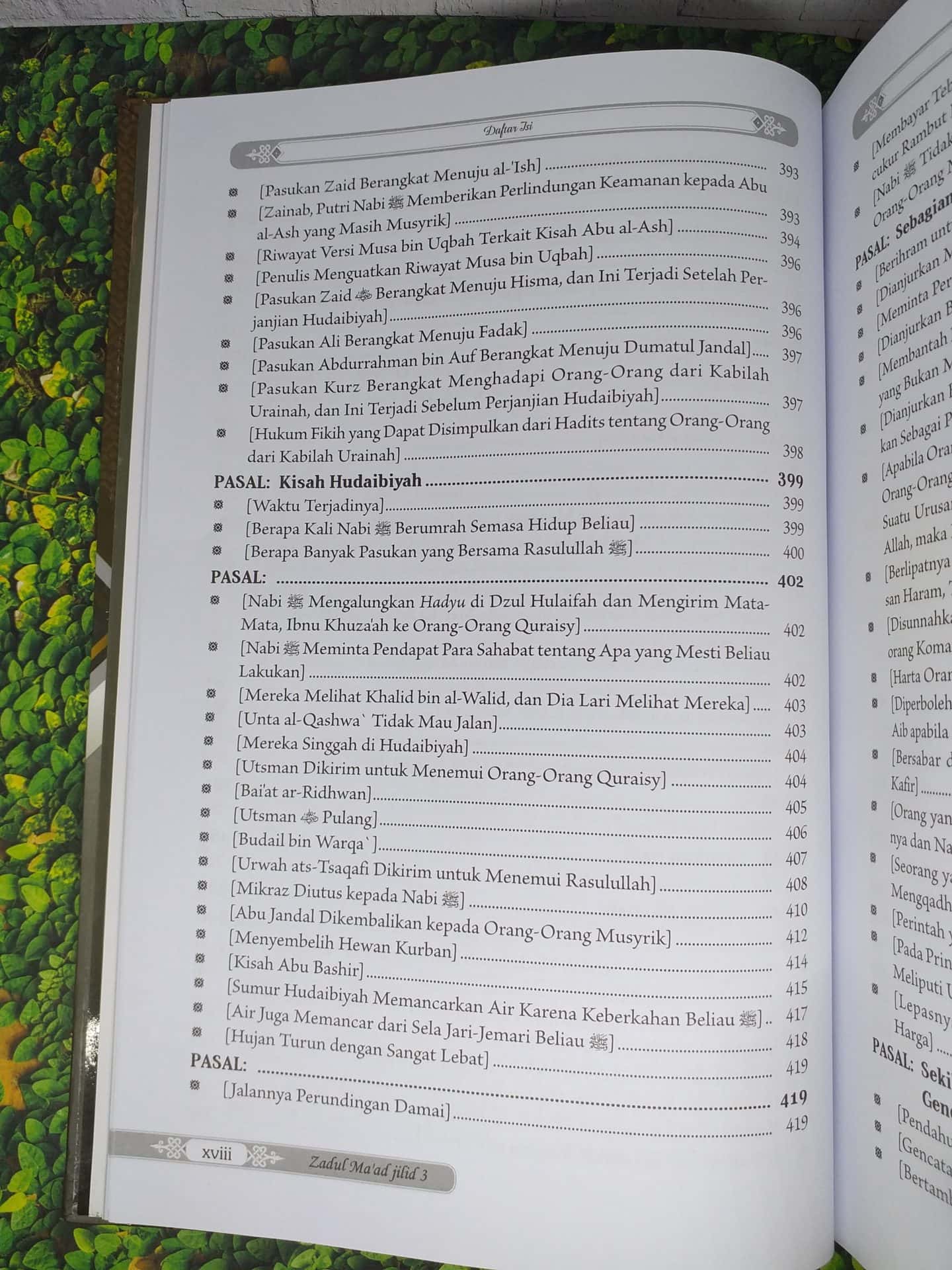 Zadul Ma'ad jilid 3 - Gambar 14