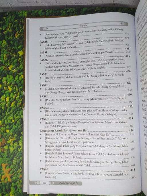 Zadul Ma’ad Jilid 5 - Gambar 17