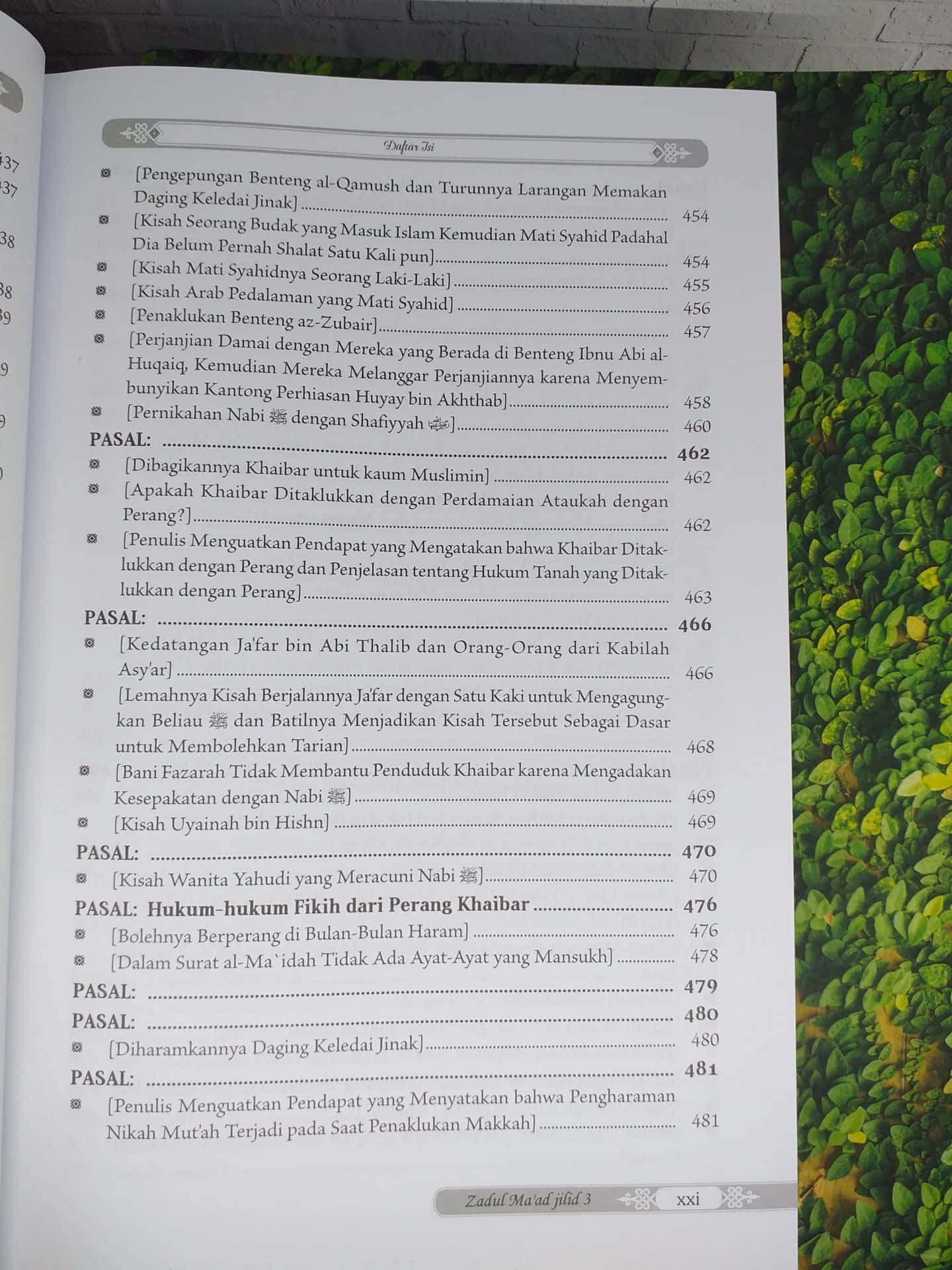 Zadul Ma'ad jilid 3 - Gambar 17