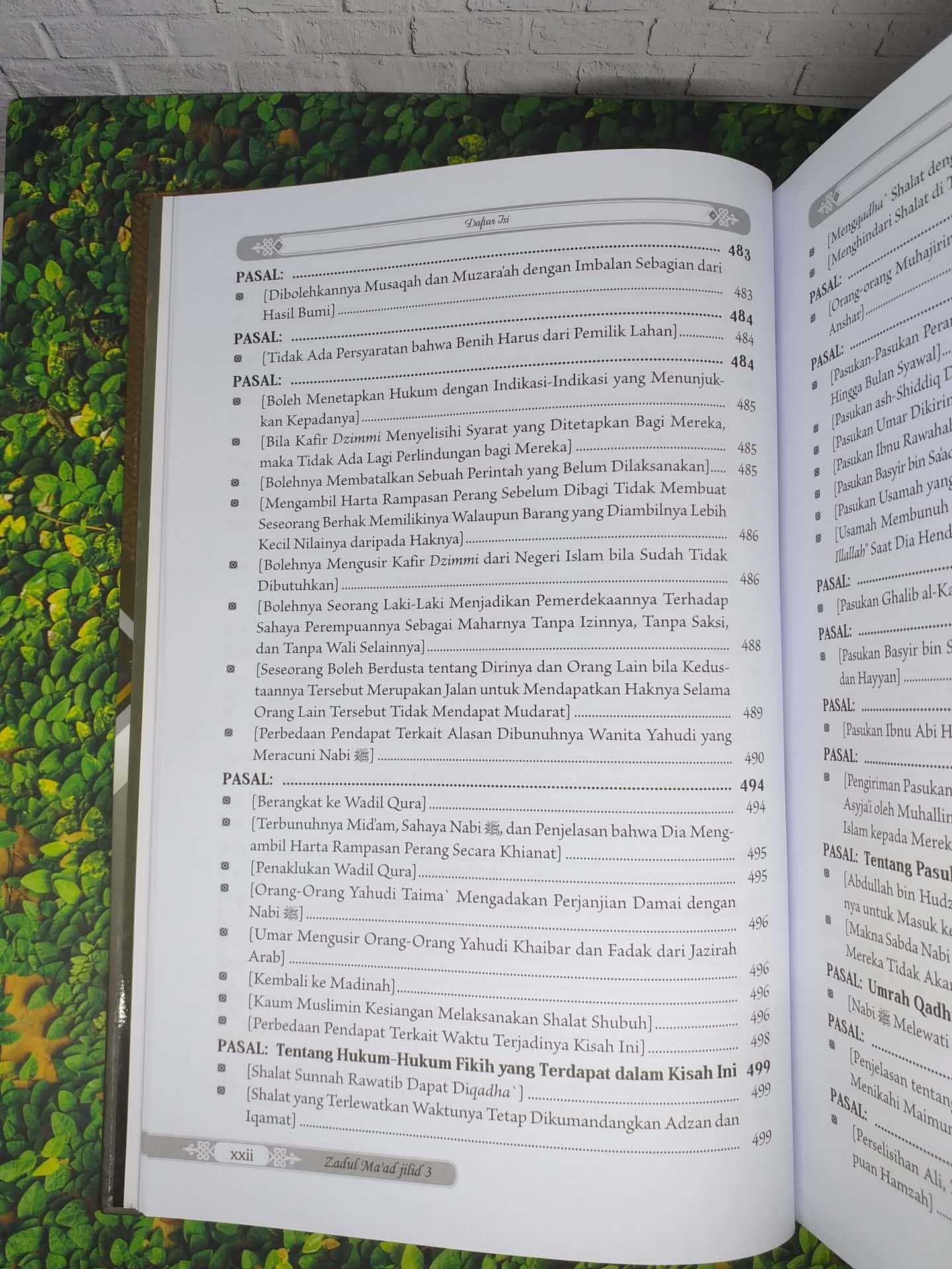 Zadul Ma'ad jilid 3 - Gambar 18