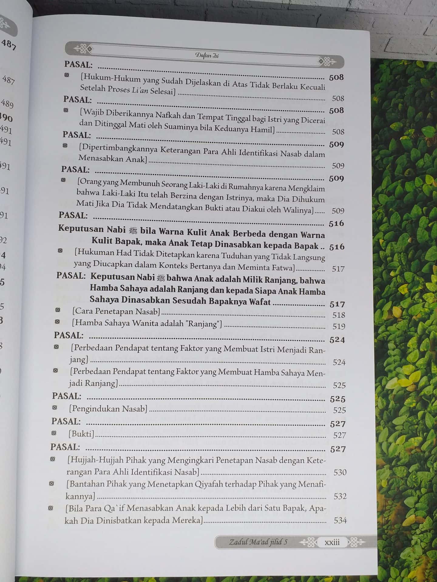 Zadul Ma’ad Jilid 5 - Gambar 20