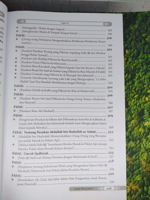 Zadul Ma'ad jilid 3 - Gambar 19