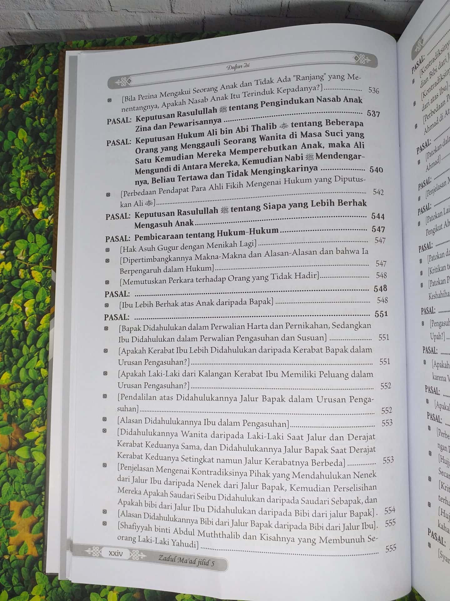 Zadul Ma’ad Jilid 5 - Gambar 21