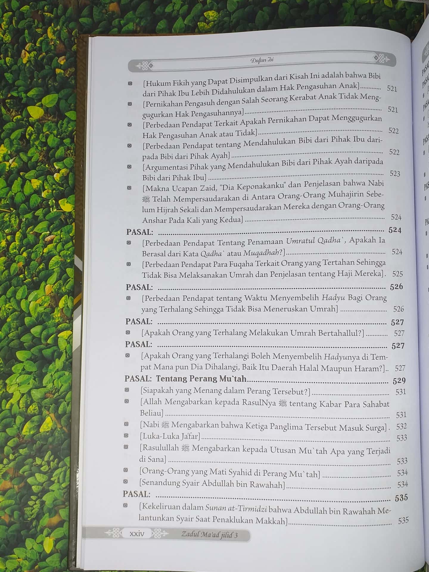 Zadul Ma'ad jilid 3 - Gambar 20