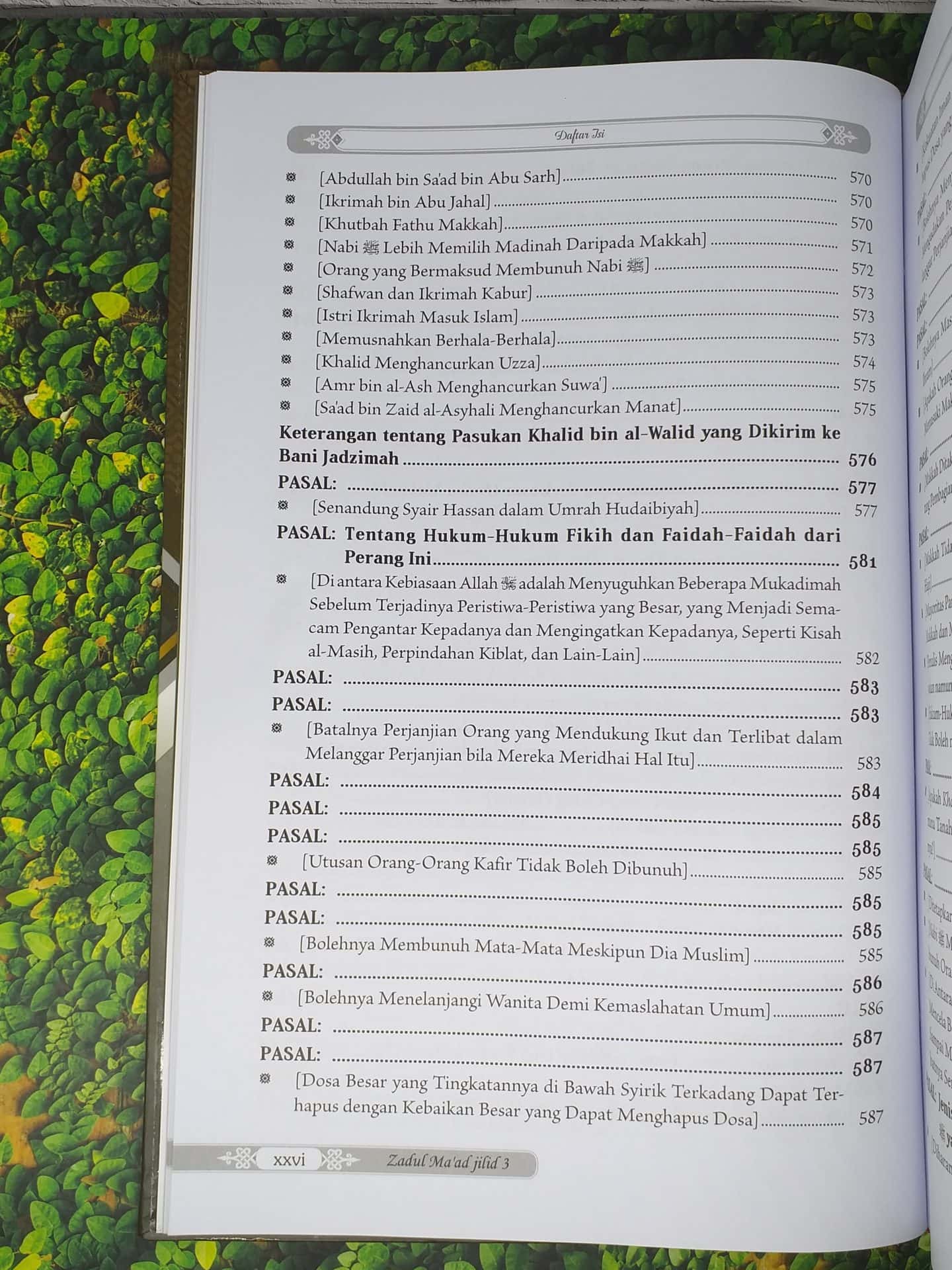 Zadul Ma'ad jilid 3 - Gambar 22