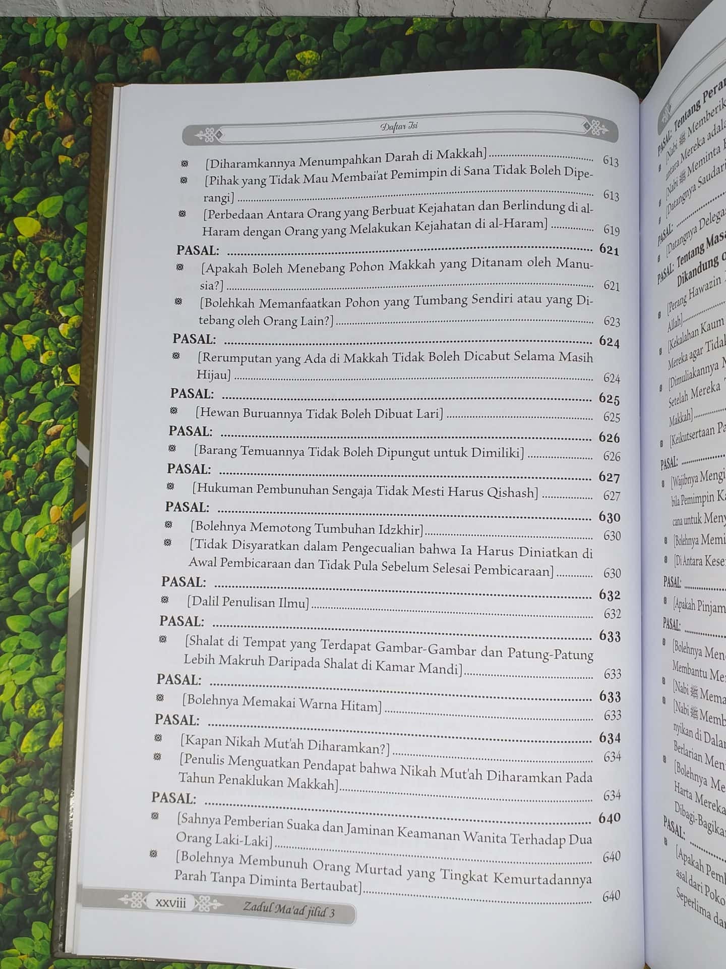 Zadul Ma'ad jilid 3 - Gambar 24