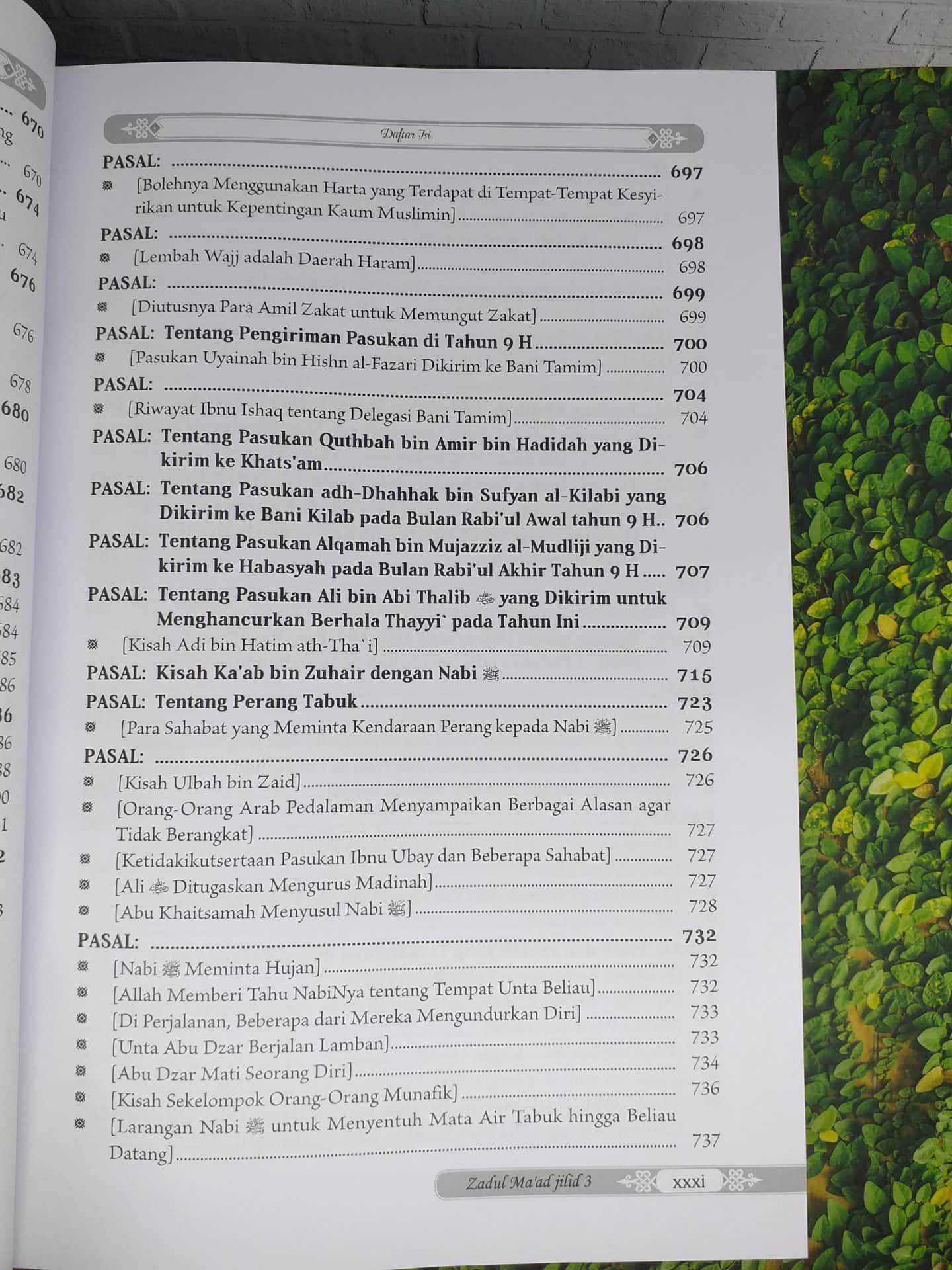 Zadul Ma'ad jilid 3 - Gambar 27