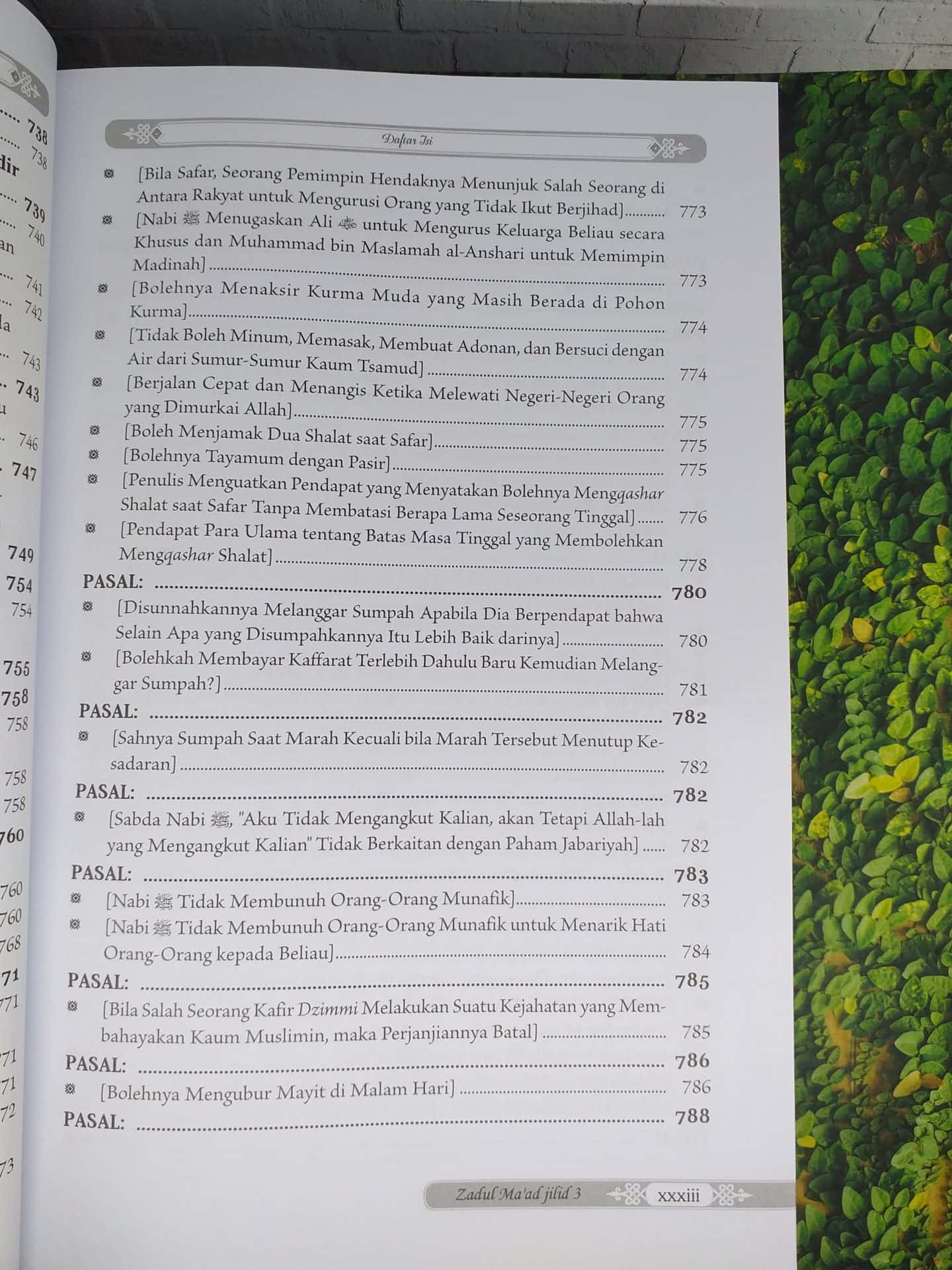 Zadul Ma'ad jilid 3 - Gambar 29