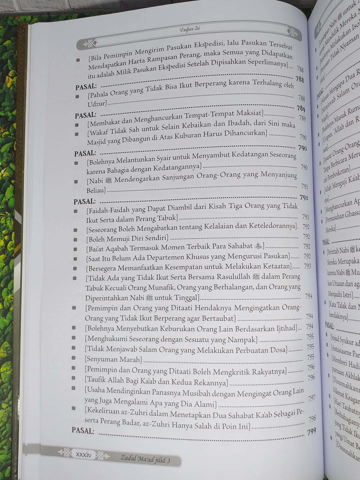 Zadul Ma'ad jilid 3 - Gambar 30