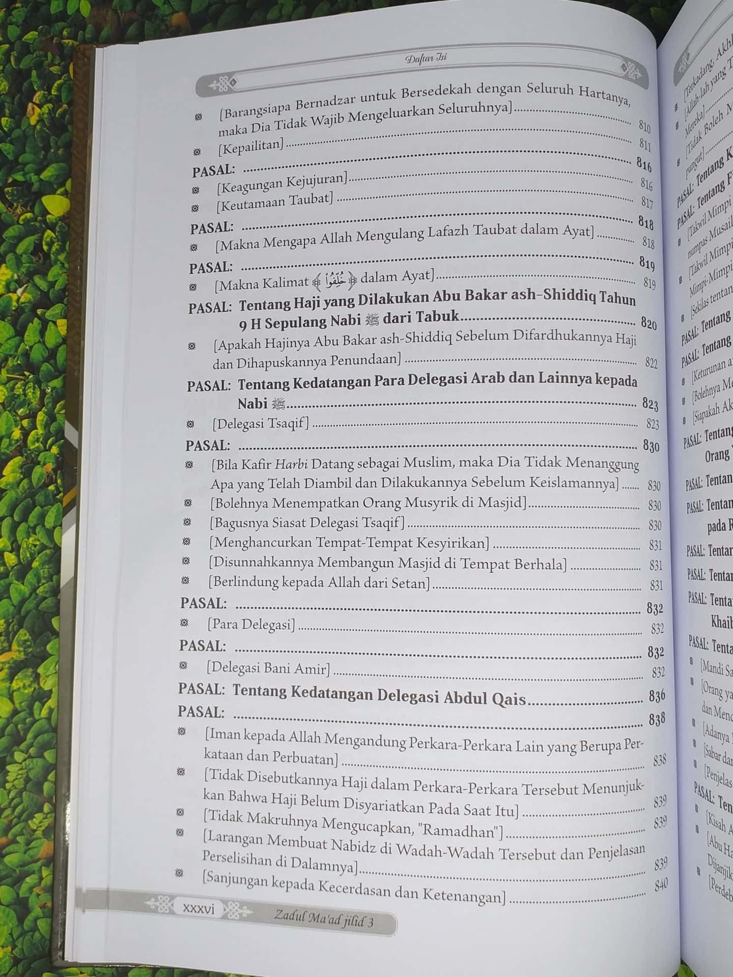 Zadul Ma'ad jilid 3 - Gambar 32