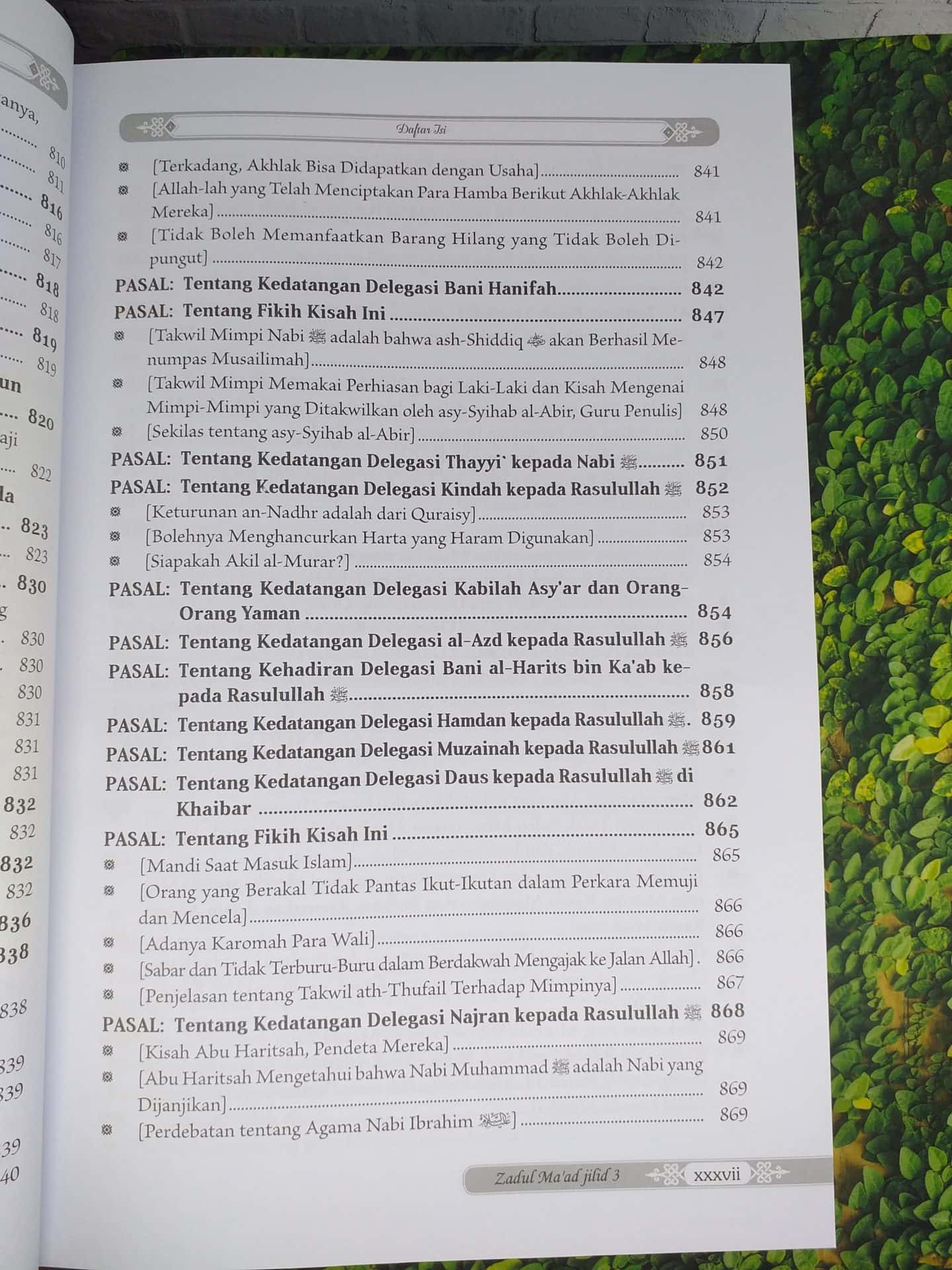 Zadul Ma'ad jilid 3 - Gambar 33