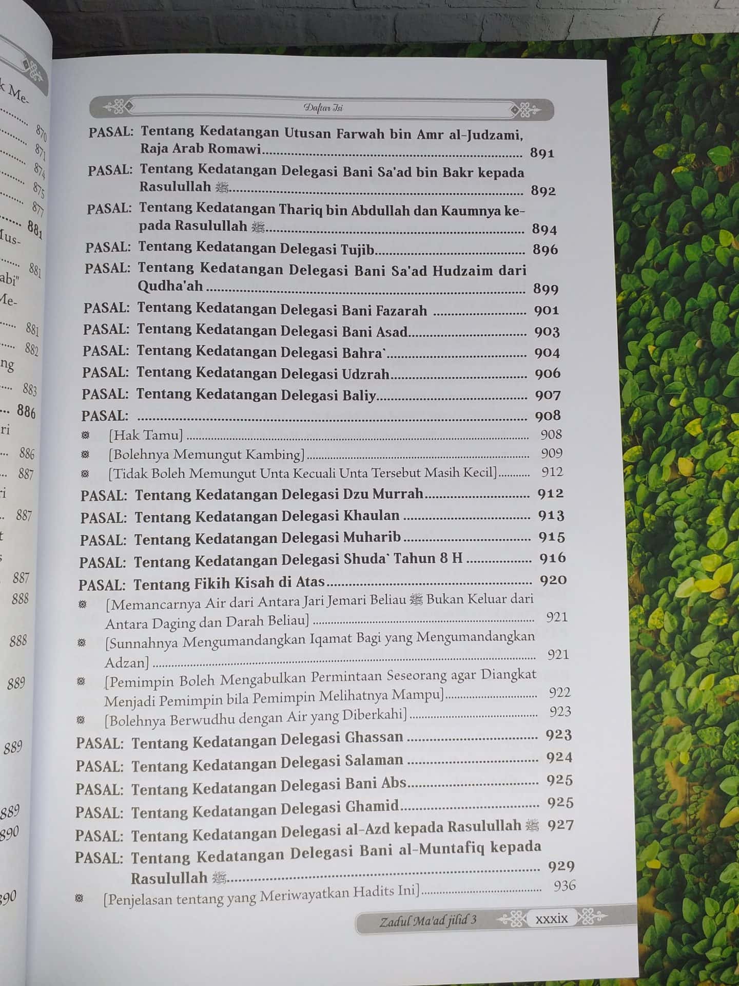 Zadul Ma'ad jilid 3 - Gambar 34