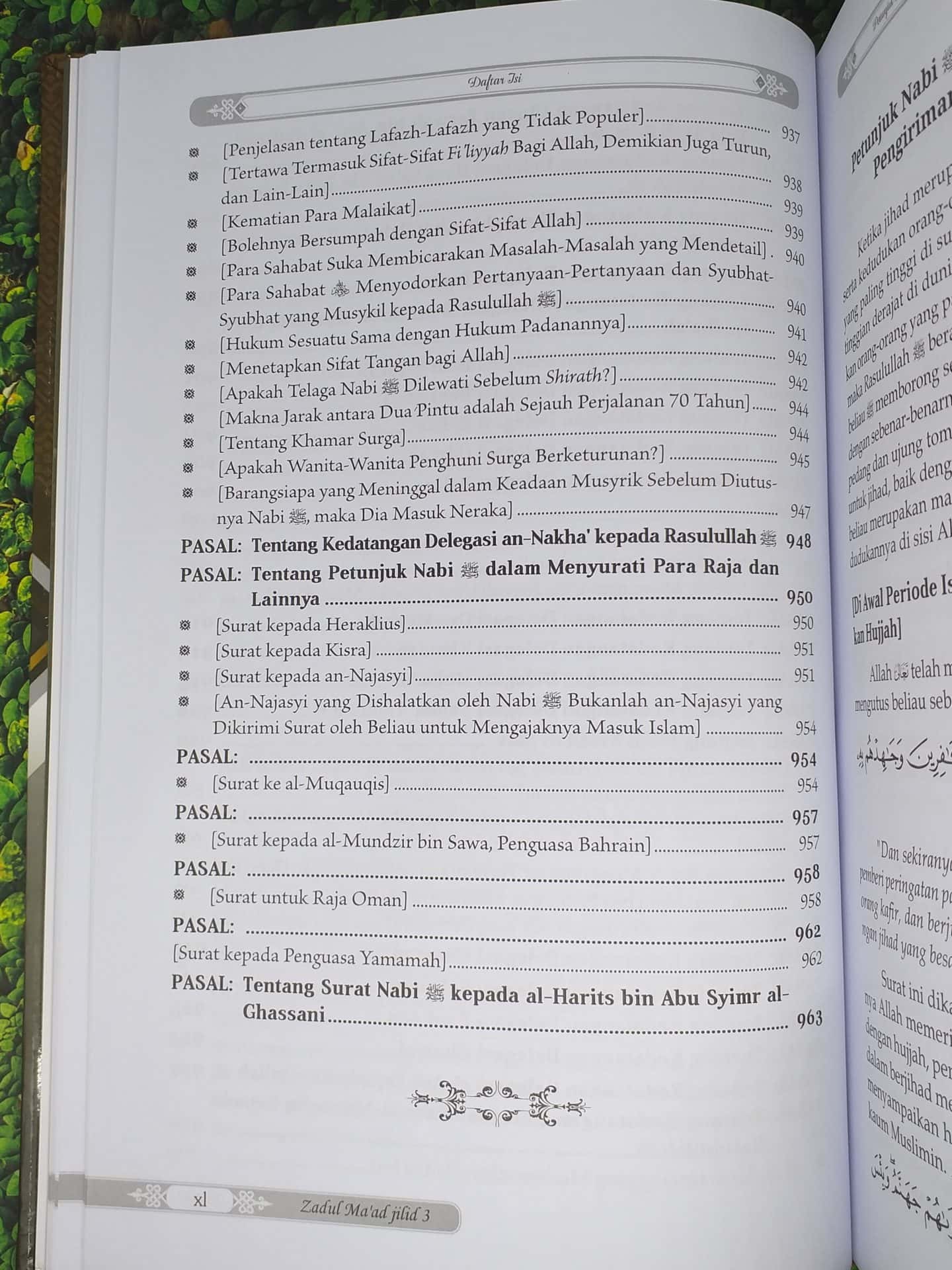 Zadul Ma'ad jilid 3 - Gambar 35