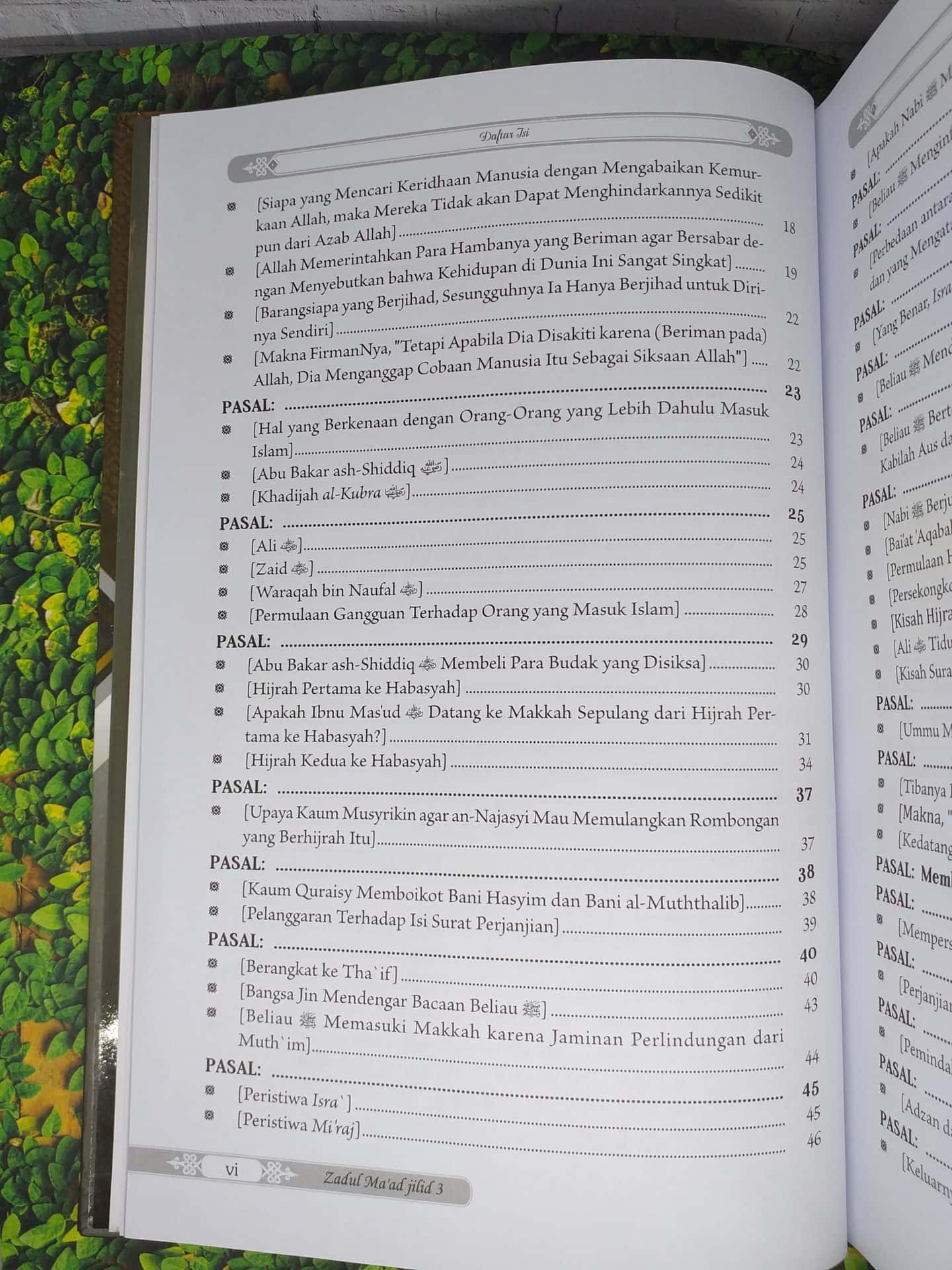 Zadul Ma'ad jilid 3 - Gambar 2