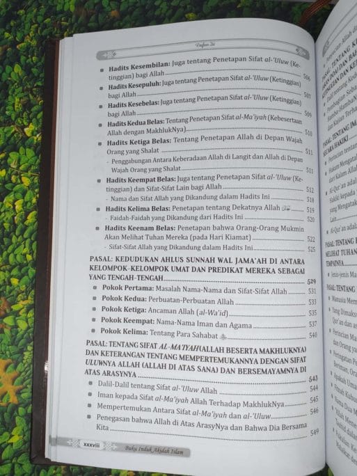 Syarah Aqidah Wasithiyah - Gambar 11